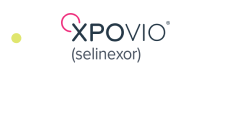 Xpovio Logo